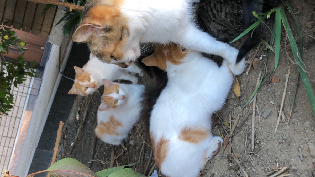 ひさびさに